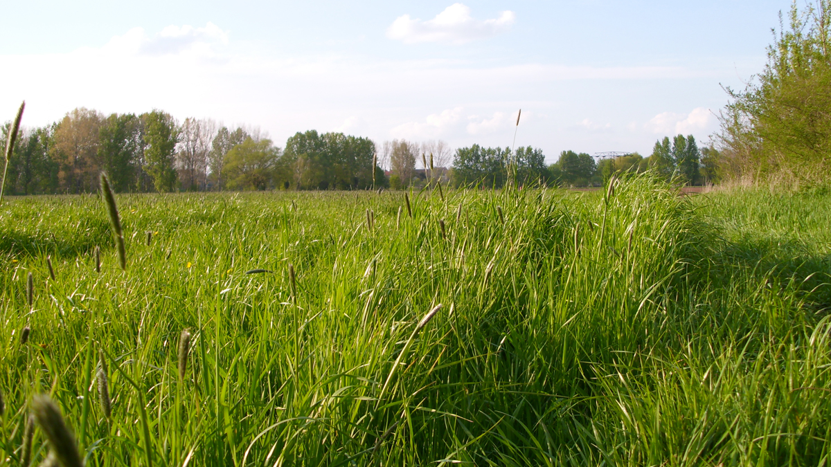 Tnd neuseenland elsteraue kurzurlaub 02