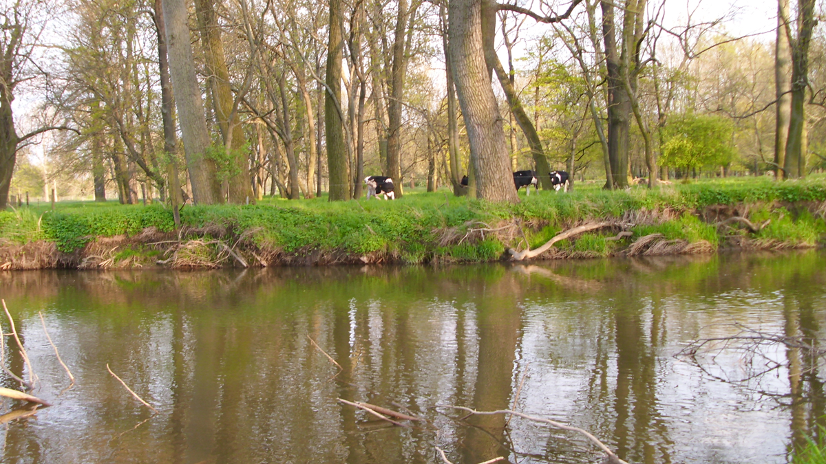 Tnd neuseenland elsteraue kurzurlaub 04